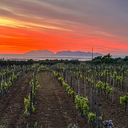 Baglio Donnafranca Wine Station touristique