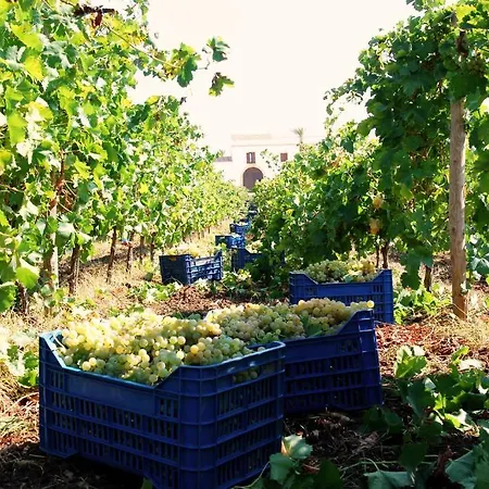 Station touristique Baglio Donnafranca Wine Marsala