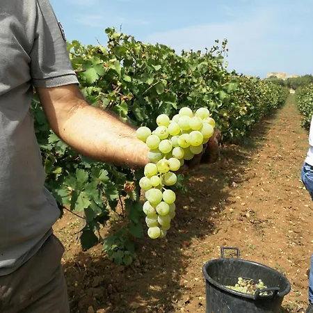 Station touristique Baglio Donnafranca Wine Marsala
