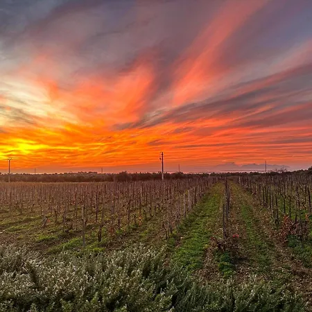 Resort Baglio Donnafranca Wine